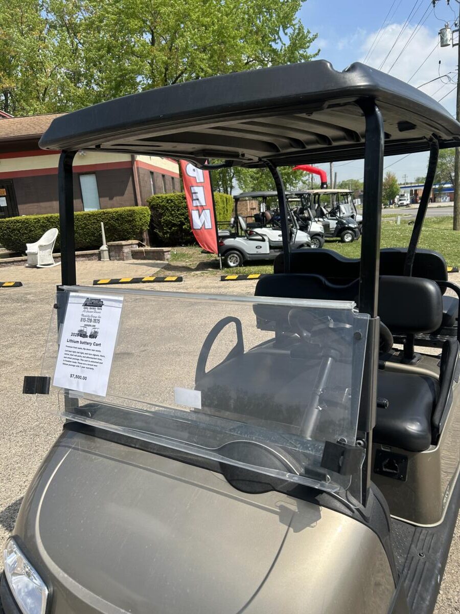 2020 EzGo RXV Lithium battery Cart - Image 10