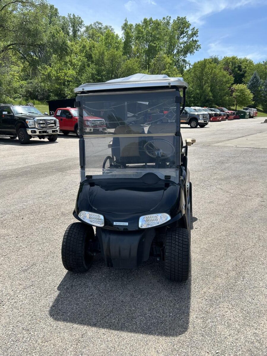 Limited Edition 2009 EZ-GO RXV Battery Cart