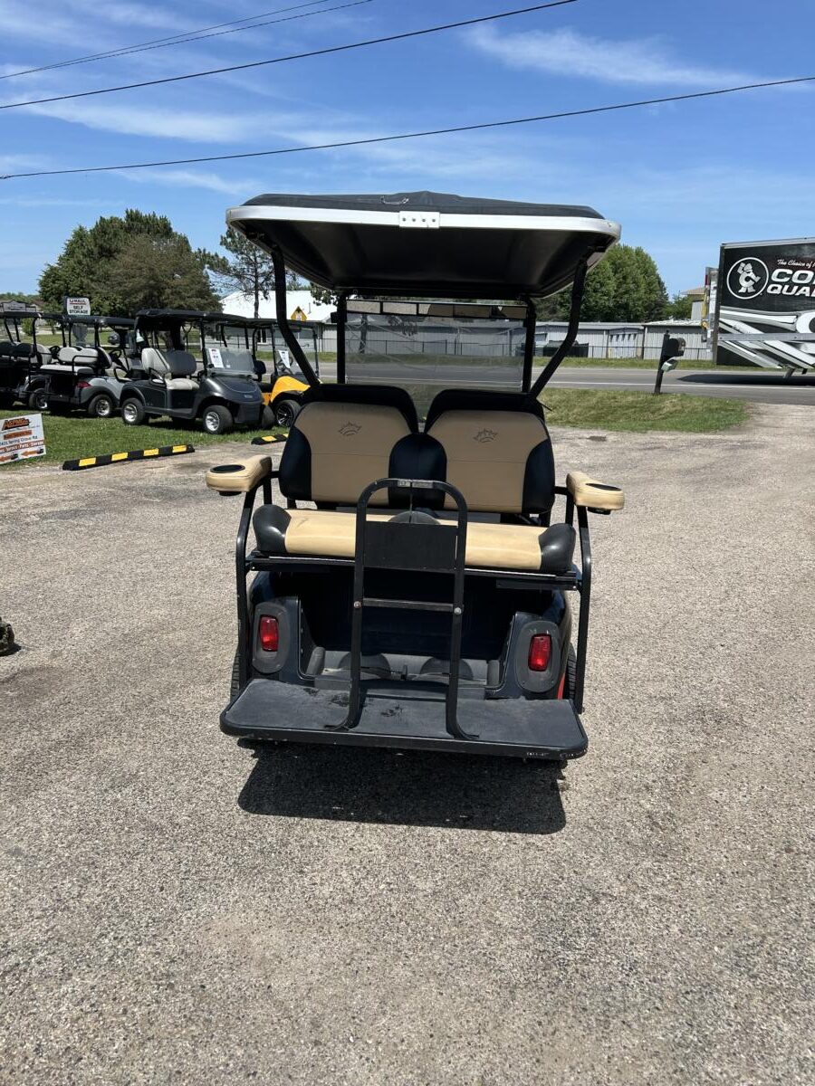 Limited Edition 2009 EZ-GO RXV Battery Cart - Image 4