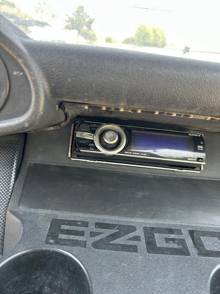 Limited Edition 2009 EZ-GO RXV Battery Cart - Image 11