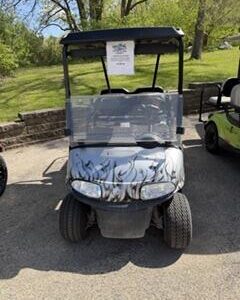 🔥 FOR SALE 🔥 ⛳ 2020 RXV Lithium Golf Cart