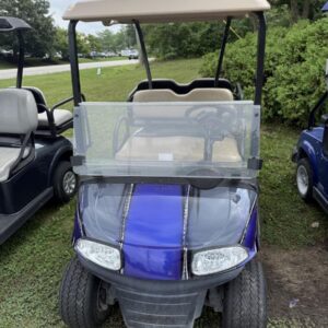 💜🩶 2021 RXV Custom Painted Golf Cart 🩶💜