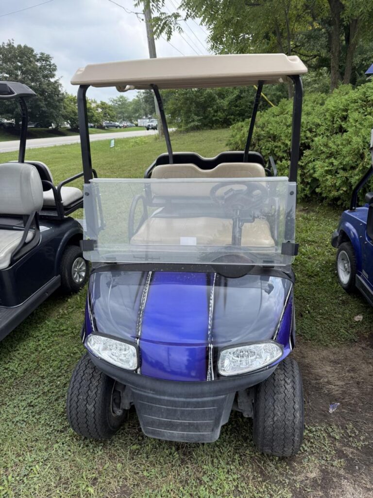 💜🩶 2021 RXV Custom Painted Golf Cart 🩶💜