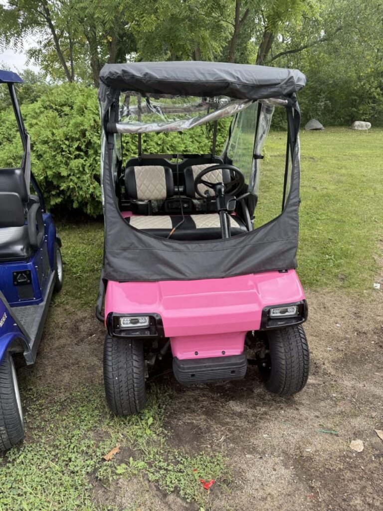 🌸💖 Custom Painted Pearlescent Panther Pink Golf Cart! 💖🌸